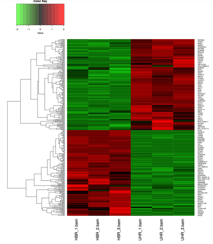 Differentially Expressed Genes Heatmap