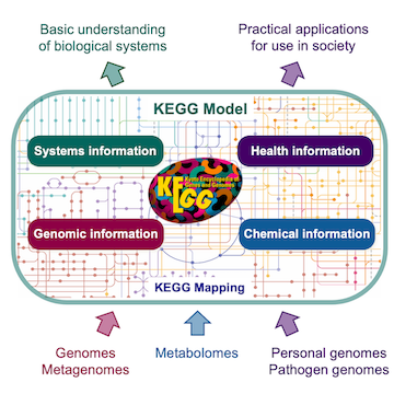KEGG Pathway Model